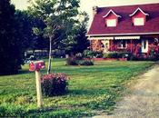 Concours:: MAMANBOOH! besoin idées-décos!