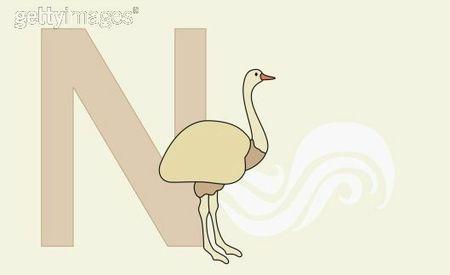 Abécédaire idioms anglais: la lettre N