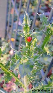 Dimanche au salon du blog culinaire de Soissons
