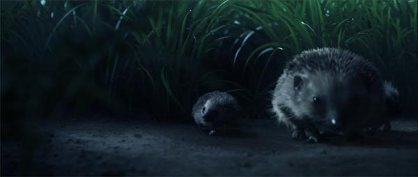 Hedgehog2 Volkswagen Hedgehog