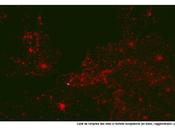 Espace lacunaire global commons