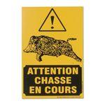 chasse_en_cours