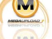 Megaupload sommeil