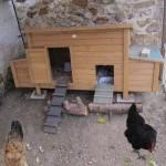 Jardin-Bricolage : Objectif : installer des poules pour avoir des œufs frais tous les jours (4/4) !