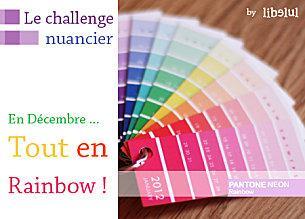 libelul-banner-challenge-nuancier-201112.jpg