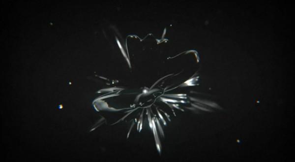 form 600x329 Le motion de Sergey Vlasov