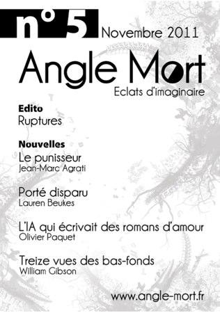 Angle Mort, une pépite de l’édition numérique française