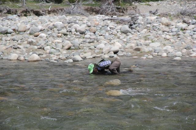 BE “MOUCHING” !! / SOYEZ “MOUCHING” !!