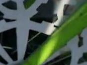 Roue vélos animées