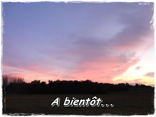 Je sors de ma cuisine...., 1er décembre 2011