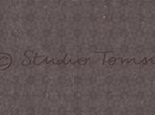 Calendrier l’avent illustration presse jeunesse