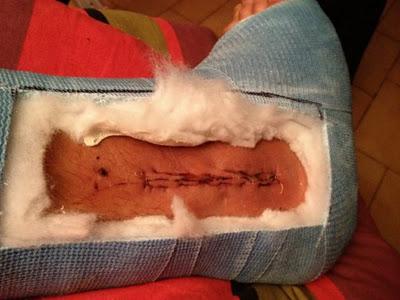 Enzo : notre coach cascadeur