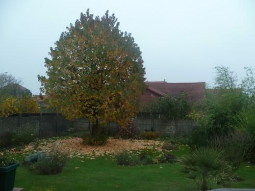 citations,société,écriture,culture,littérature,auteurs