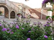 Palazzo Contarini della Porta Ferro Venise