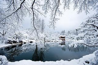 Voyages d'hiver en Corée (décembre, janvier et février)