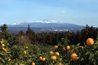 Voyages d'hiver en Corée (décembre, janvier et février)
