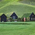 La nature sur les toits