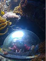 La photo du dimanche #23 !!! Mais qui est notre invitée mystère de cette semaine ??