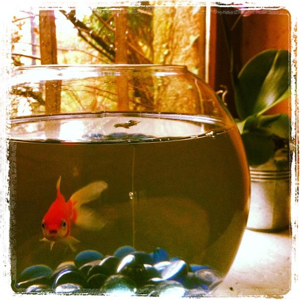 Ma semaine en Instagram (5)