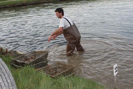 Marennes, ma belle... les_claires_marennes_oleron