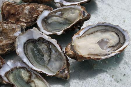 Marennes, ma belle... dej_huitre