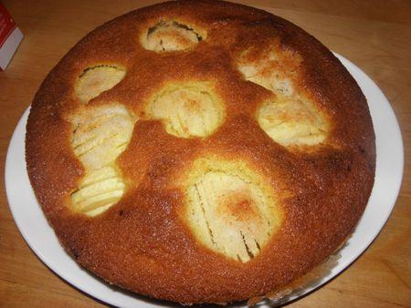 Gâteau aux pommes et coco (2)