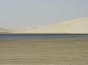 Petits-fours petits-fours? Question existentielle pour temps l'Avent