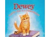 Dewey, petit chat bibliothèque