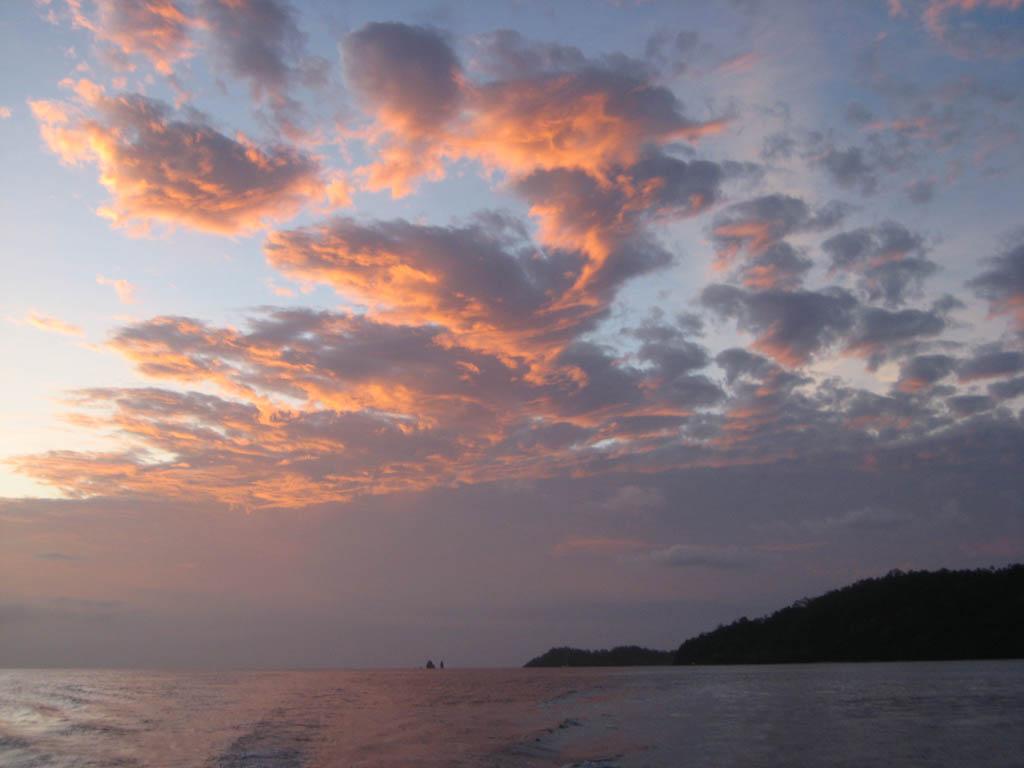 20111013 img 4989 365 / one day, one pix, #11