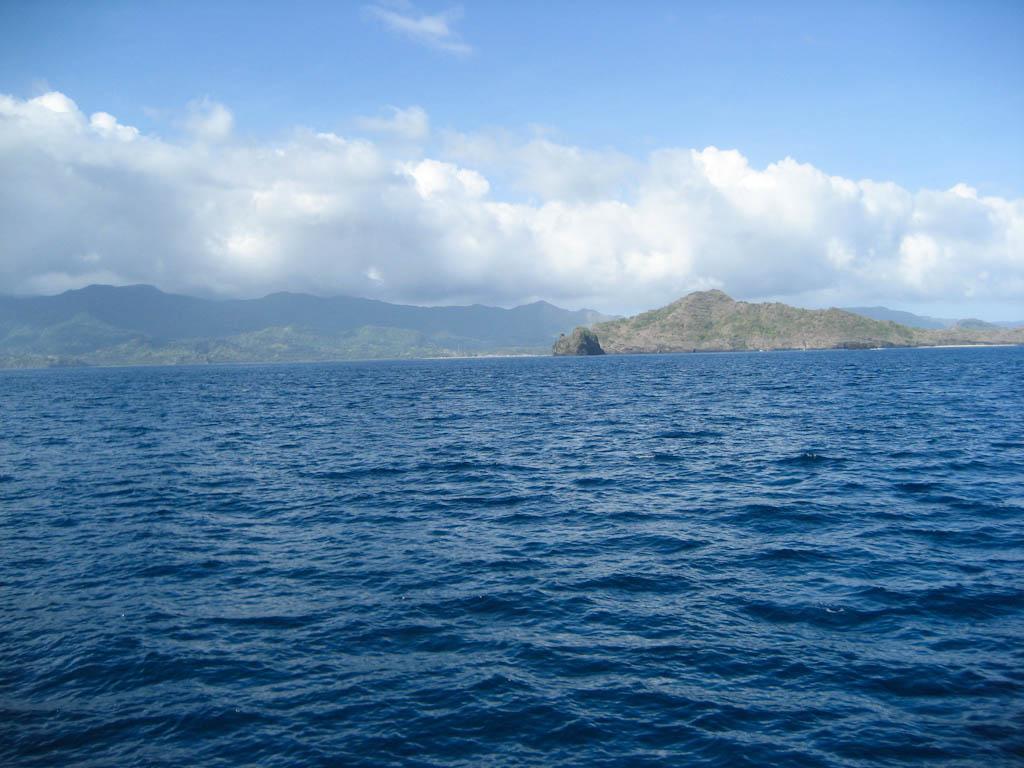 20111013 img 4972 365 / one day, one pix, #11