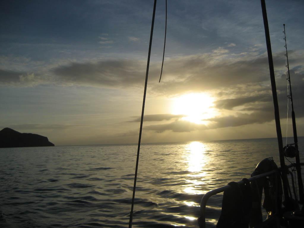 20111013 img 4982 365 / one day, one pix, #11