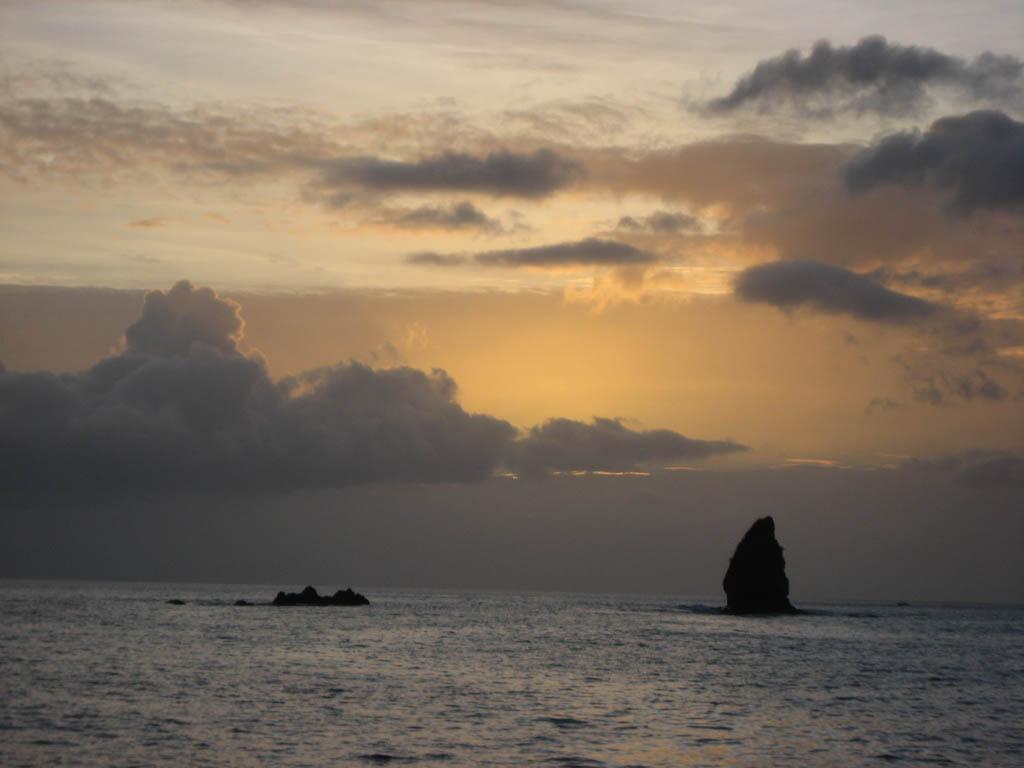 20111013 img 4987 365 / one day, one pix, #11