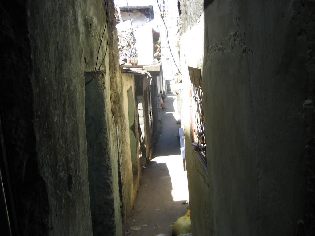 20111027 img 5227 365 / one day, one pix, #11