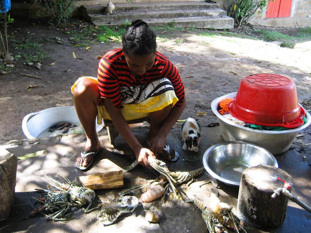 20111014 img 4993 365 / one day, one pix, #11