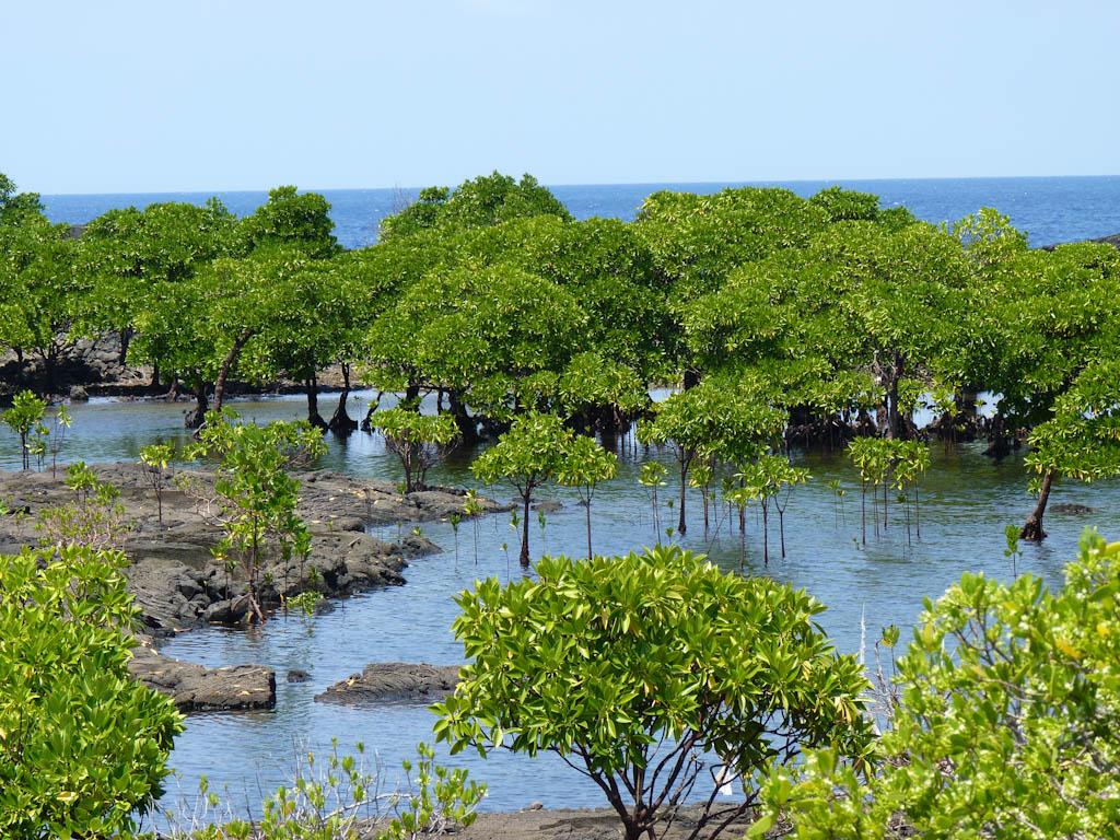 20111030 20111030 p1140762 365 / one day, one pix, #11