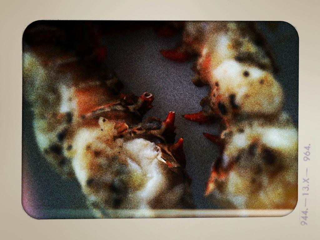 20111014 img 1042 365 / one day, one pix, #11