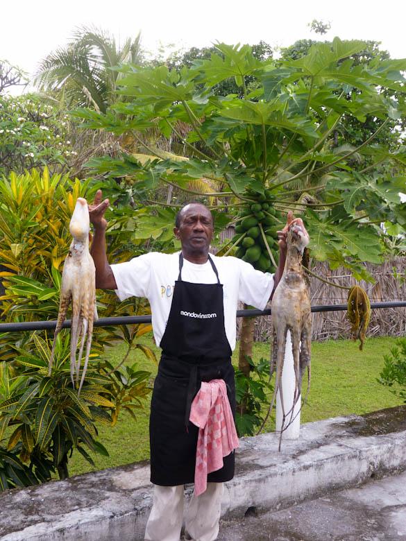 20111022 20111022 p1140663 365 / one day, one pix, #11