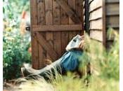 SANTÉ HOMMES: Pourquoi hommes doivent sortir chez British Medical Journal