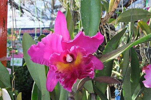 2011-12-01 02-22-31 - DSCF0587 (Medium)