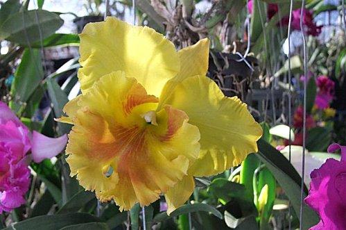 2011-12-01 02-22-42 - DSCF0588 (Medium)