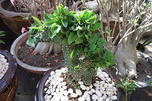 2011-12-01 02-24-54 - DSCF0590 (Medium)