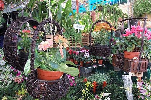 2011-12-01 02-27-21 - DSCF0593 (Medium)