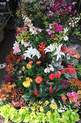 2011-12-01 02-27-09 - DSCF0592 (Medium)