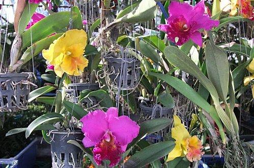 2011-12-01 02-21-54 - DSCF0585 (Medium)