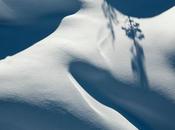 Exposition Photos d’hiver d’Alexandre Gendron