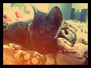 Ce que j'aime en décembre