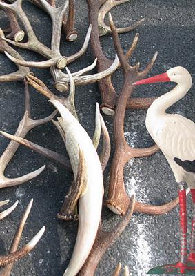 Les trophées de Noël