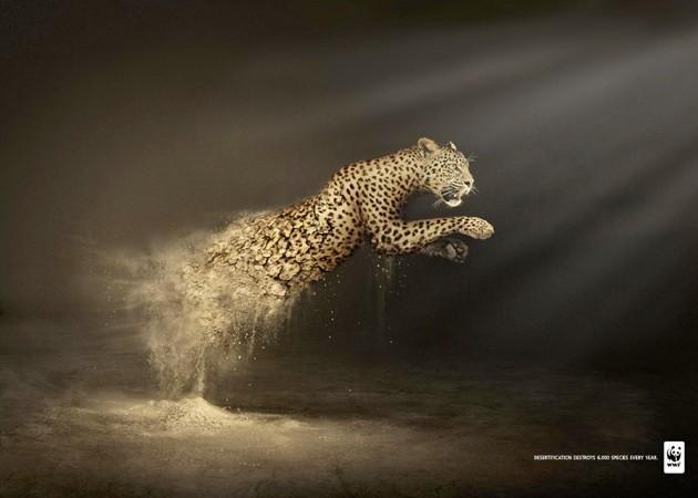 Campagne WWF sur la désertification