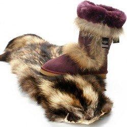fourrure-chien-viverrin-torture-bottes-ugg.jpg