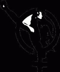 féminisme,société,politique,libertaire,anarchisme,monde,femme,lutte,viol